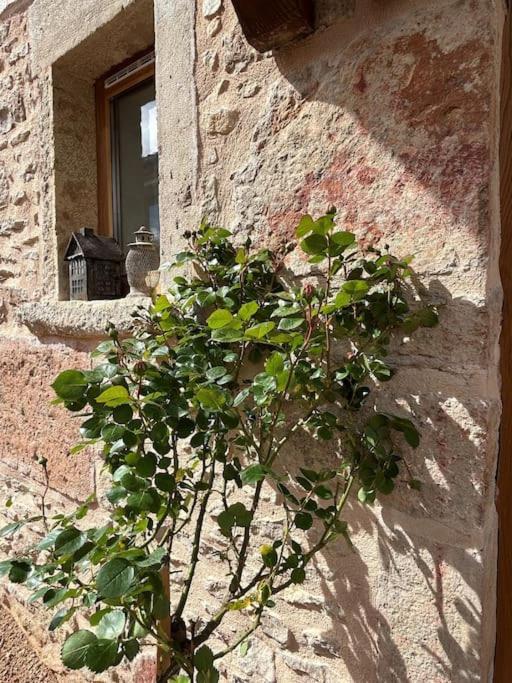 Le Tinailler Grand Standing Au Coeur Des Vignes Villa Prisse Bagian luar foto