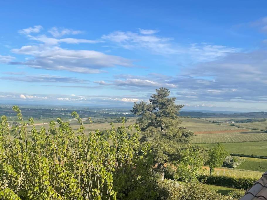 Le Tinailler Grand Standing Au Coeur Des Vignes Villa Prisse Bagian luar foto