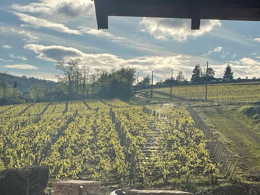 Le Tinailler Grand Standing Au Coeur Des Vignes Villa Prisse Bagian luar foto