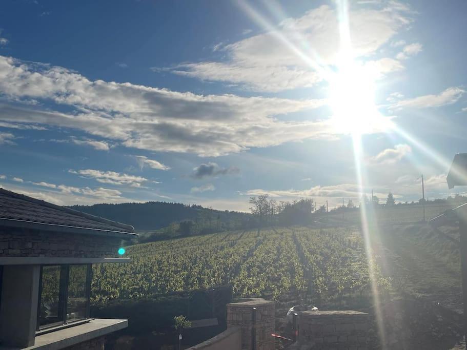 Le Tinailler Grand Standing Au Coeur Des Vignes Villa Prisse Bagian luar foto